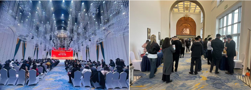 1741567519697478.jpg 1741567519697478.jpg